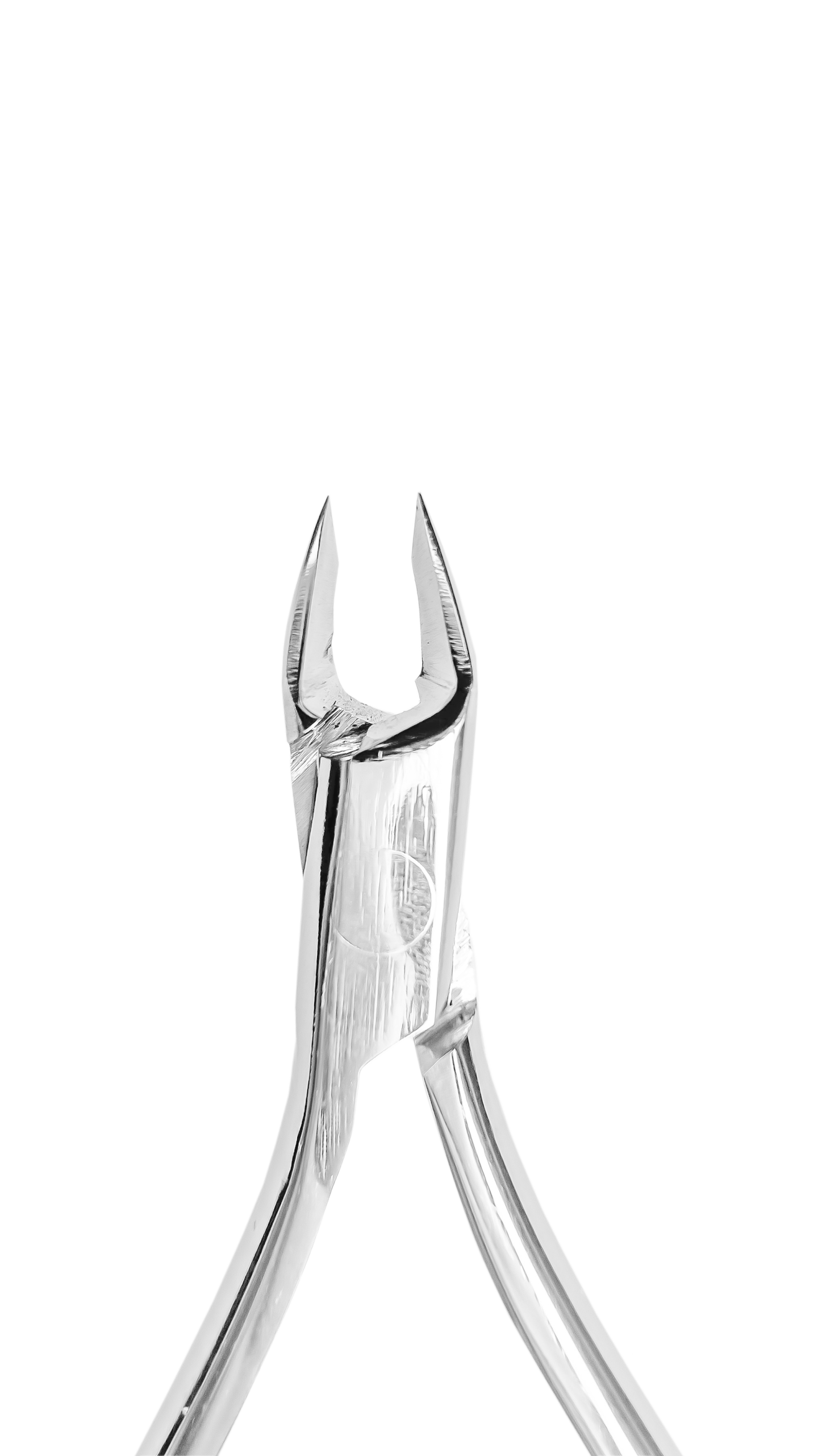 Кусачки для шкіри Edlen Mini 3 mm